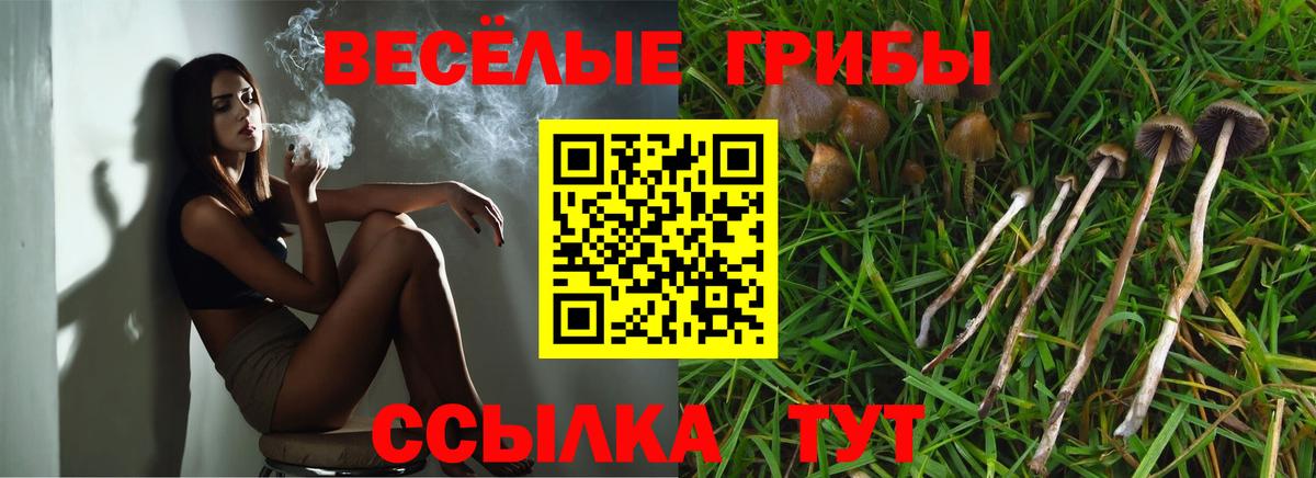 Галлюциногенные грибы Psilocybine cubensis  Вход с VPN  Ессентуки  Галлюциногенные грибы Psilocybine cubensis 